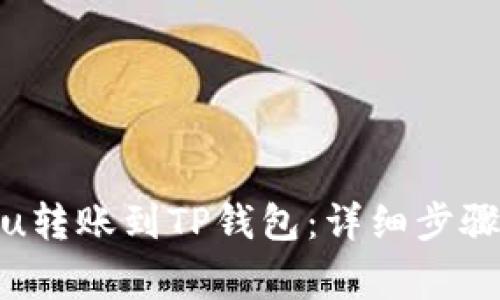 如何将Kishu转账到TP钱包：详细步骤与注意事项