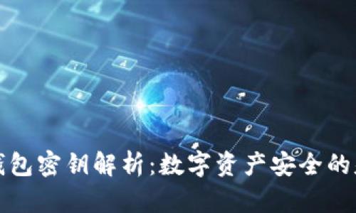 TP钱包密钥解析：数字资产安全的基石